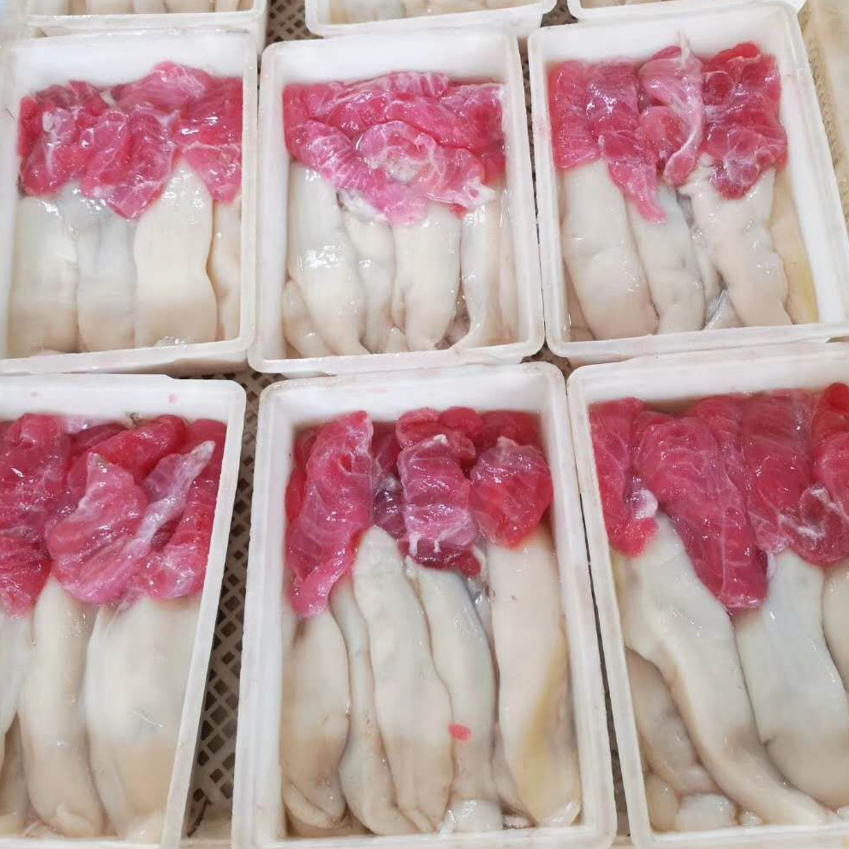 鱿鱼籽-44.jpg
